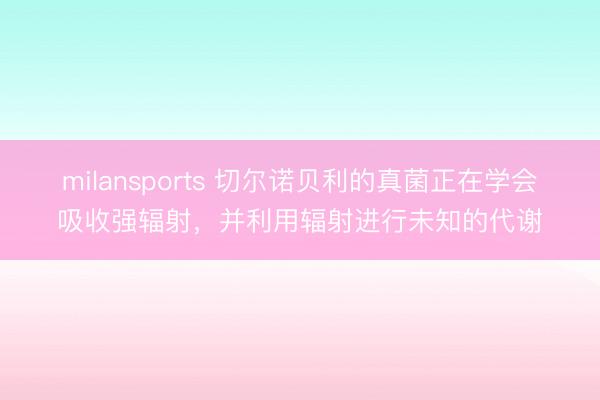milansports 切尔诺贝利的真菌正在学会吸收强辐射,并利用辐射进行未知的代谢