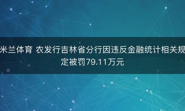 米兰体育 农发行吉林省分行因违反金融统计相关规定被罚79.11万元